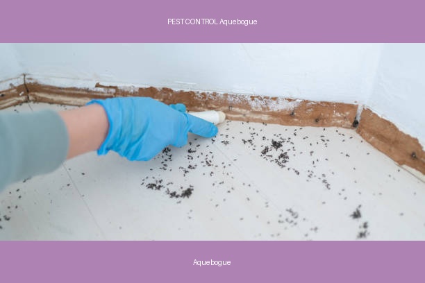 PEST CONTROL Aquebogue